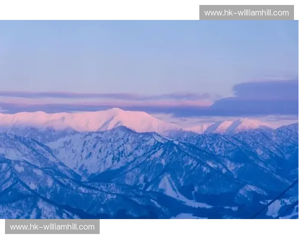 雪国魅影，港湾之光：新泻与神户的夏日邂逅